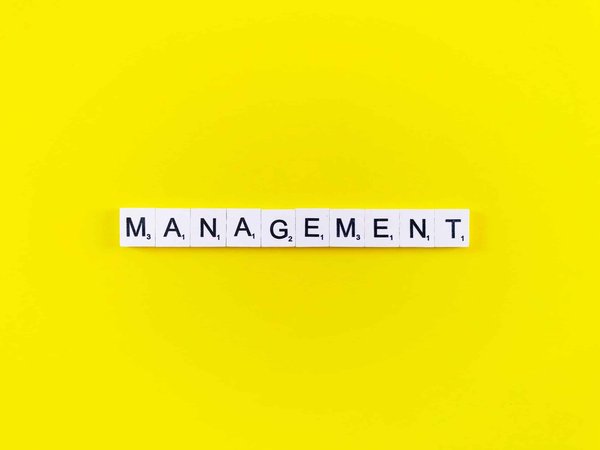 Quels sont les débouchés offerts par une école de management ?