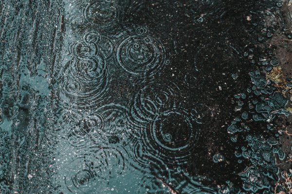 Récupérer l'eau de pluie pour son jardin : techniques et avantages